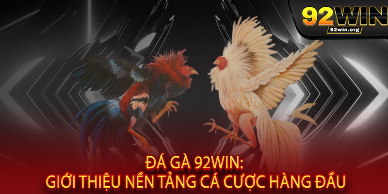 Đá Gà 92WIN - Đấu trường đỉnh cao, thắng lớn đổi đời, tỷ lệ "khủng" không đối thủ 2 Đá Gà 92WIN: Giới Thiệu Nền Tảng Cá Cược Hàng Đầu
