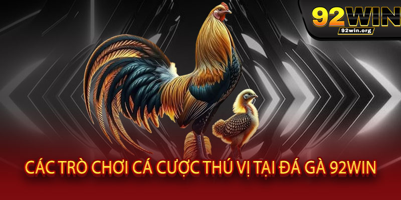 Đá Gà 92WIN - Đấu trường đỉnh cao, thắng lớn đổi đời, tỷ lệ "khủng" không đối thủ 3 Các Trò Chơi Cá Cược Thú Vị Tại Đá Gà 92WIN